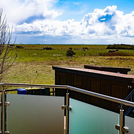 Liebefeld דירה *